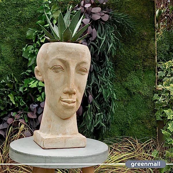 Chen Büst Saksı Kahverengi