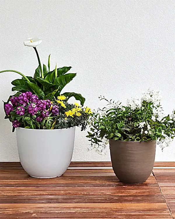 Over 38 Bej Plastik Akıllı Saksı