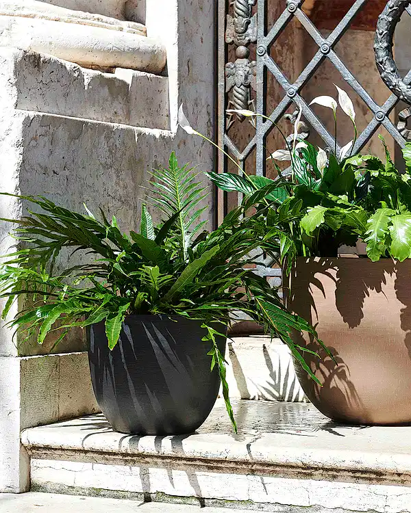 Over 38 Siyah Plastik Akıllı Saksı