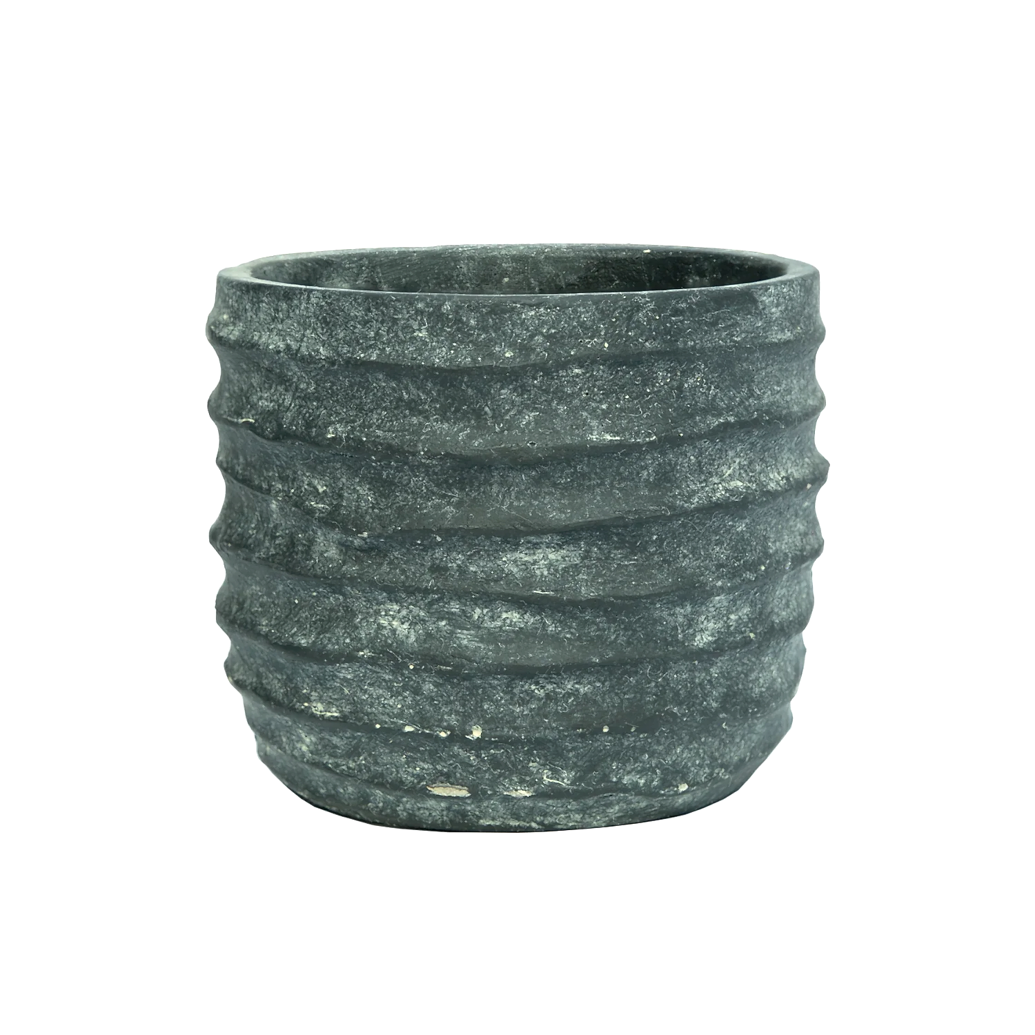 Nerius Saksı 2'li Set