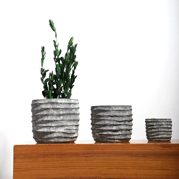 Nerius Saksı 2'li Set