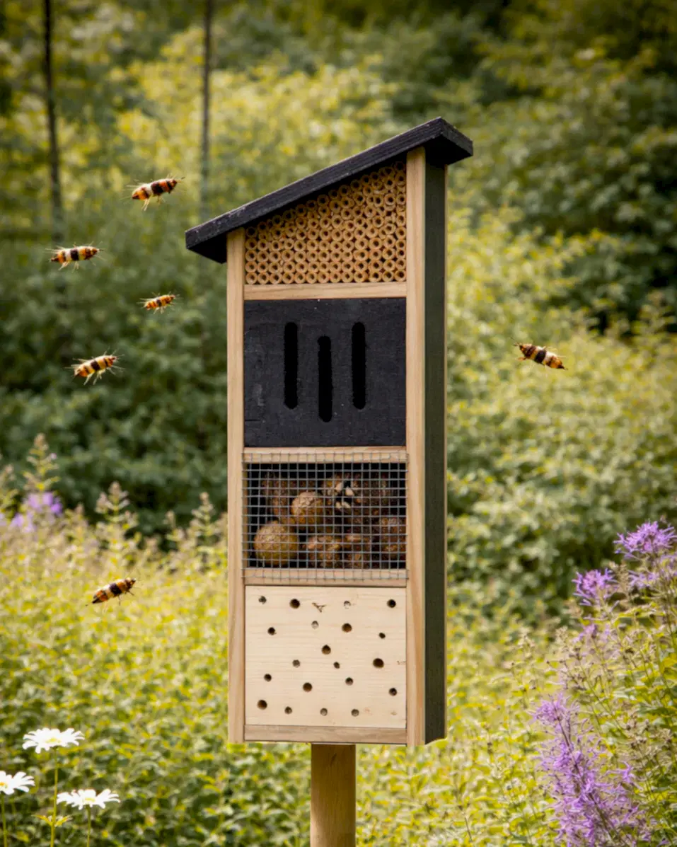 Monolith Böcek Oteli