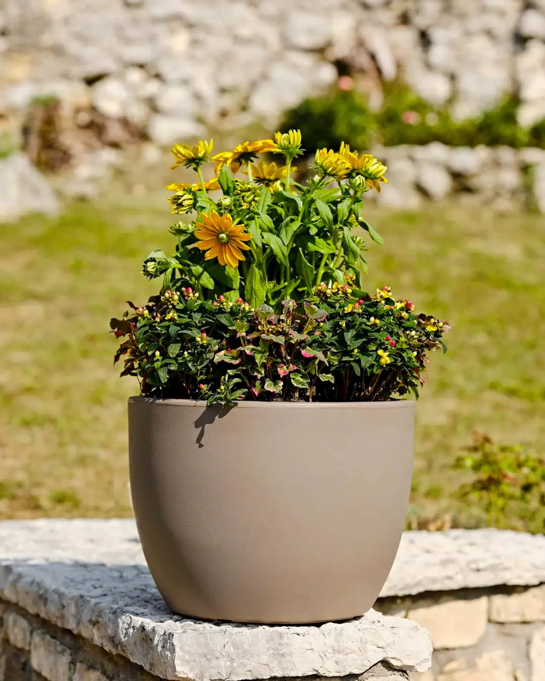 Ares 60 Plastik Saksı Kapuçino