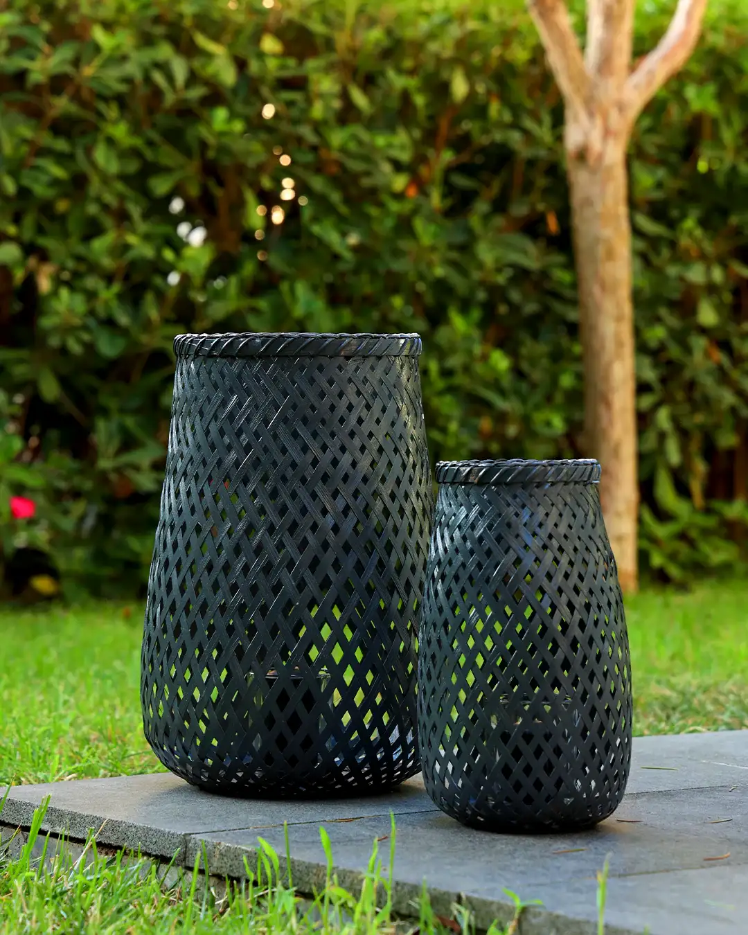 Ariel Bambu Mumluk Büyük Boy