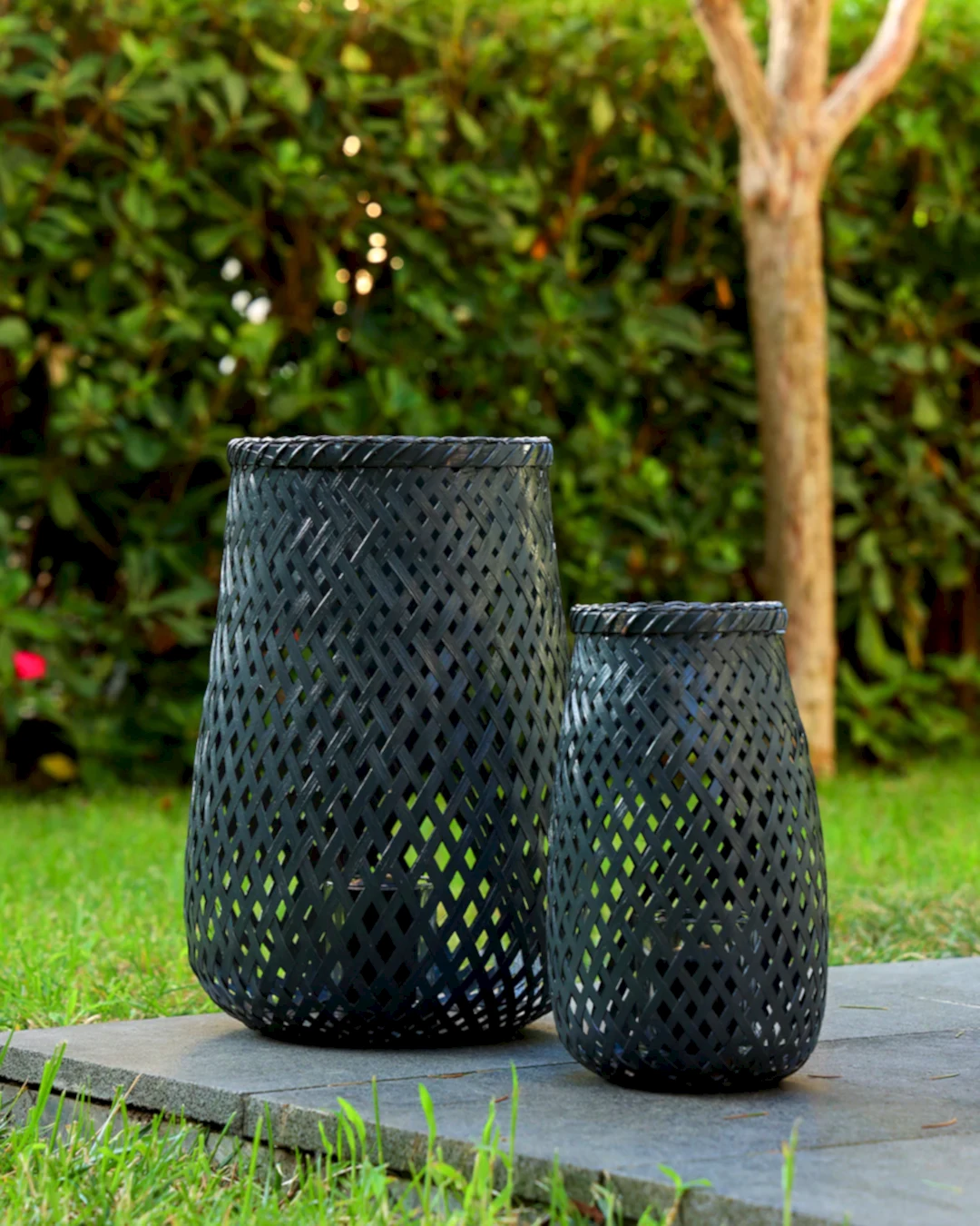 Ariel Bambu Mumluk Küçük Boy