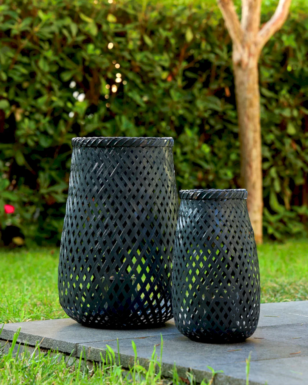 Ariel Bambu Mumluk Seti