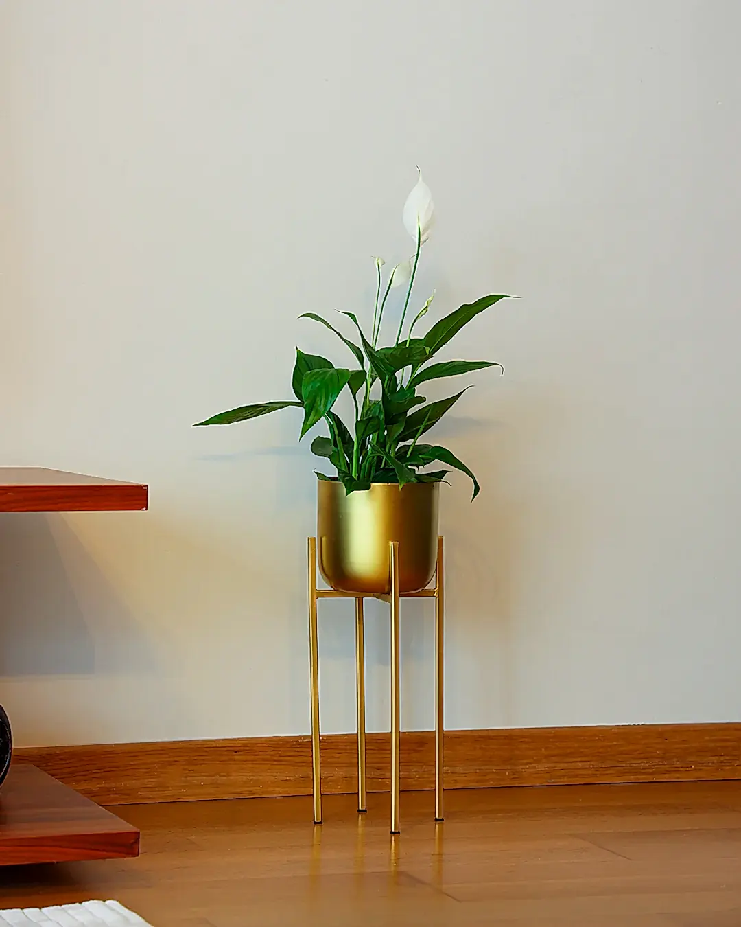 Ayaklı Metal Saksı Küçük Boy