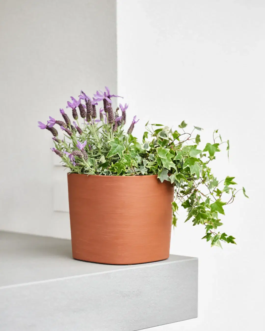 Capri 38 Siyah Plastik Akıllı Saksı