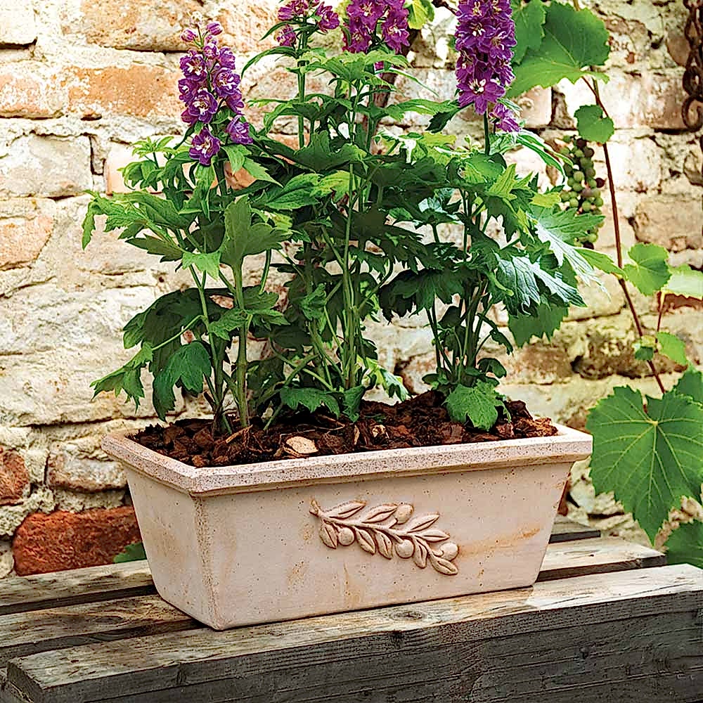 Cassetta Olive 40 cm Toprak Saksı Terracota