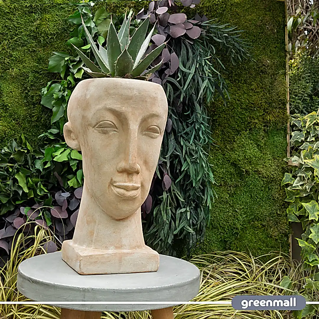 Chen Büst Saksı Kahverengi