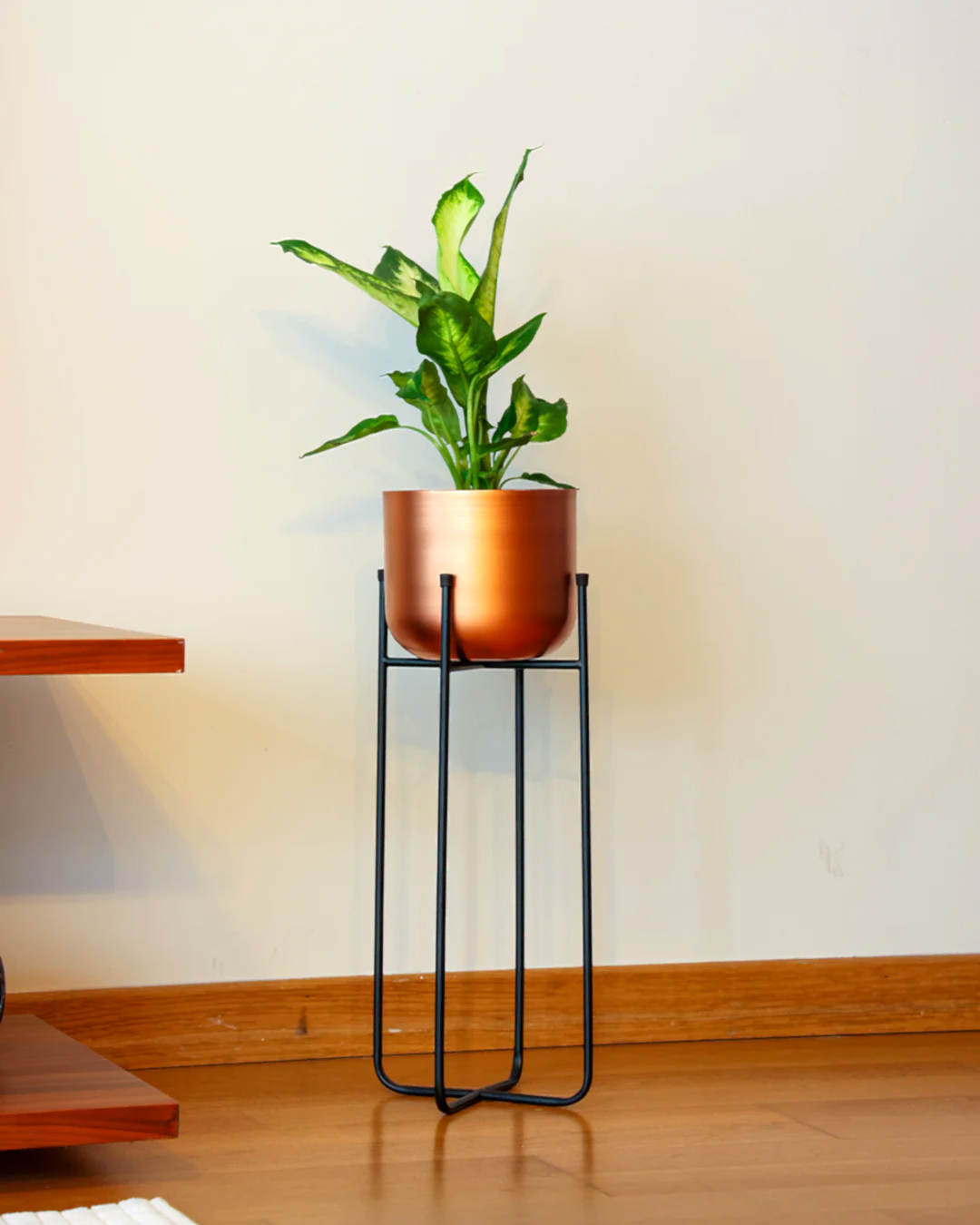 Cruz Metal Ayaklı Saksı Büyük Boy