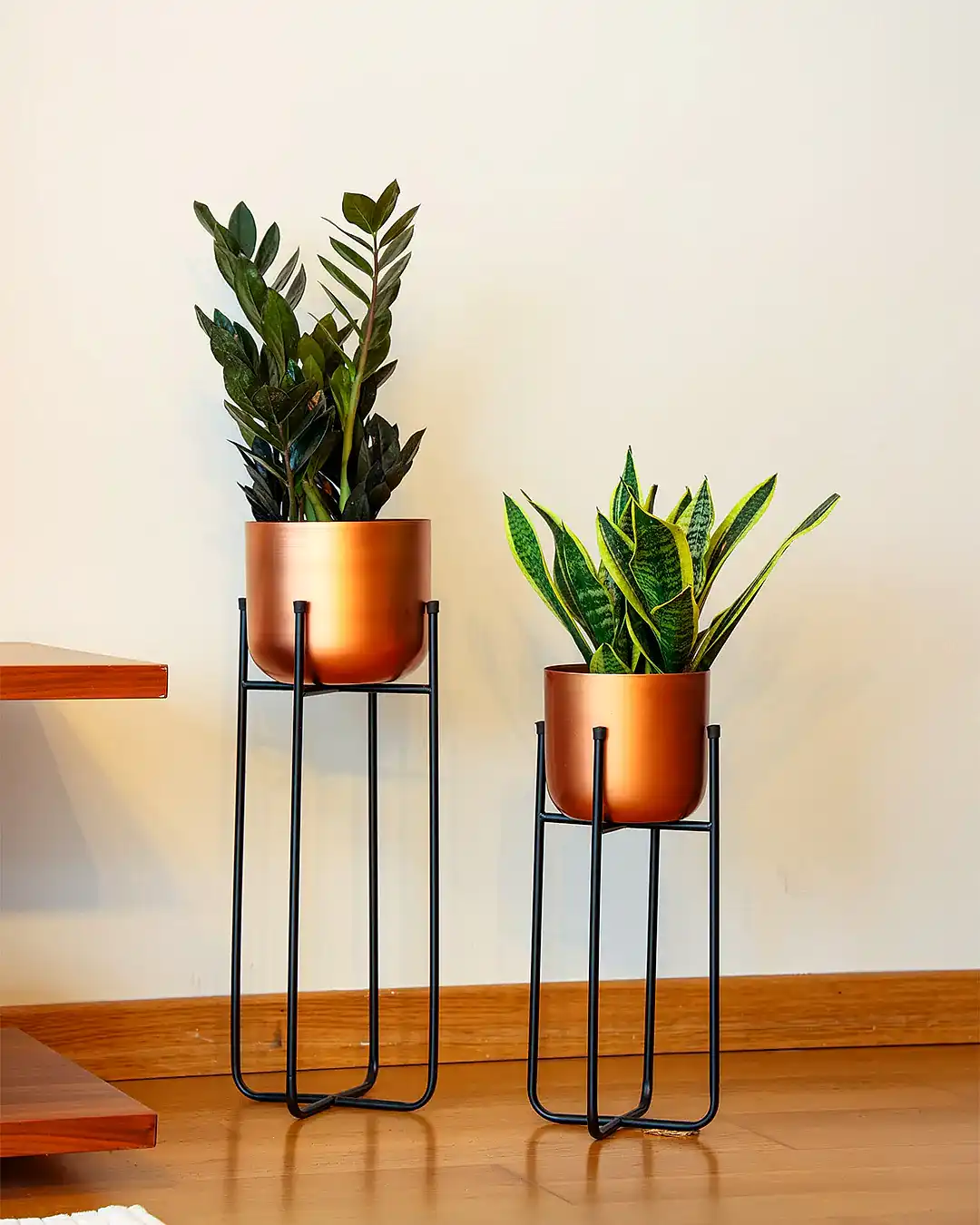 Cruz Metal Ayaklı Saksı Büyük Boy