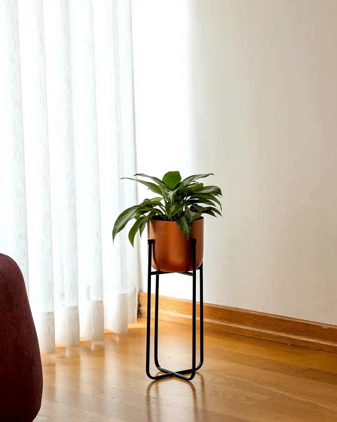 Cruz Metal Ayaklı Saksı Küçük Boy