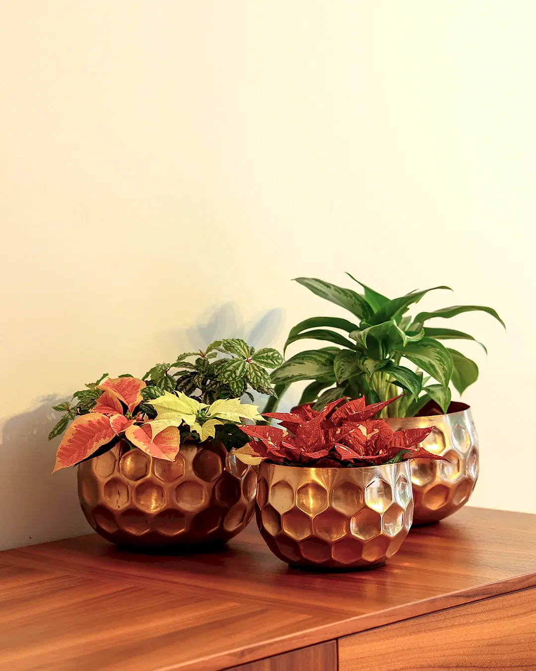 Cuivre Metal Saksı Büyük Boy Bronz