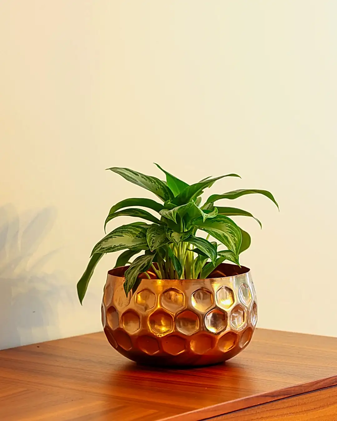 Cuivre Metal Saksı Büyük Boy Bronz