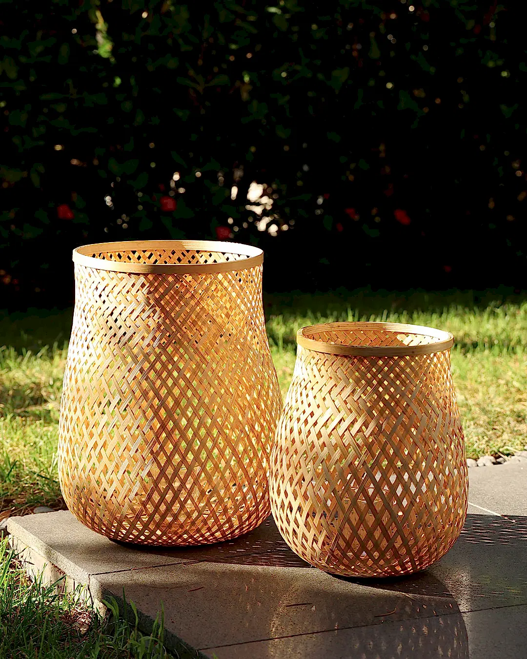 Fortis Bambu Mumluk Büyük Boy