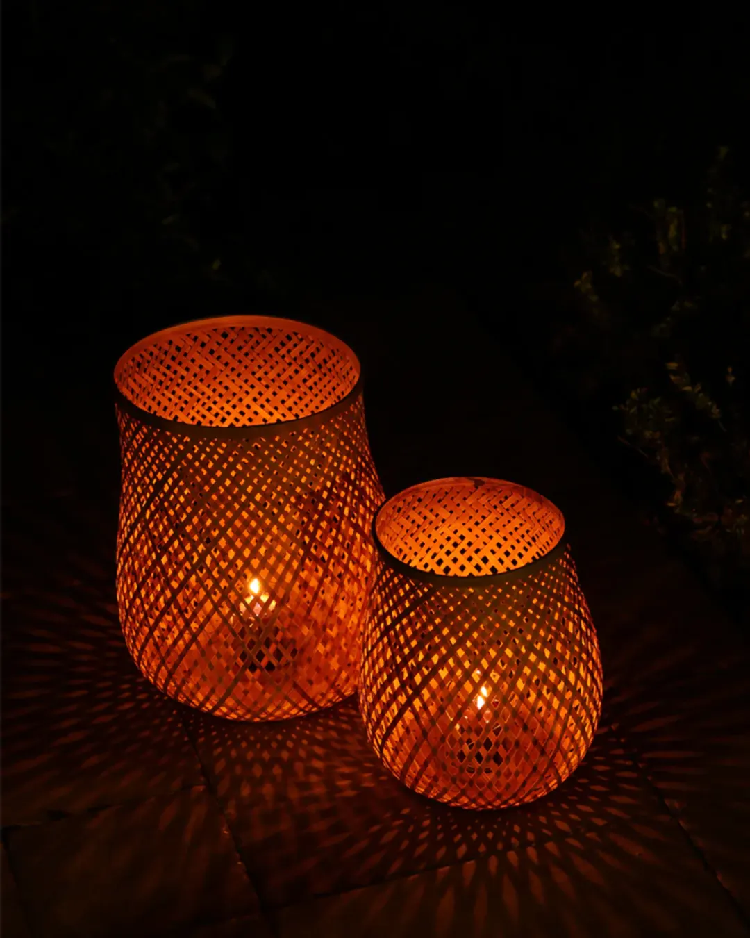 Fortis Bambu Mumluk Büyük Boy