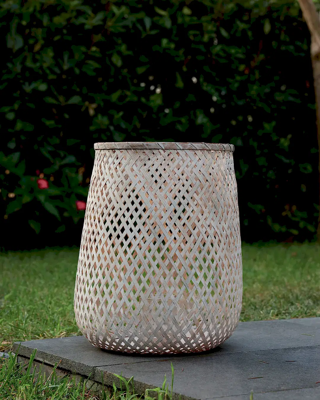 Fortuna Bambu Mumluk