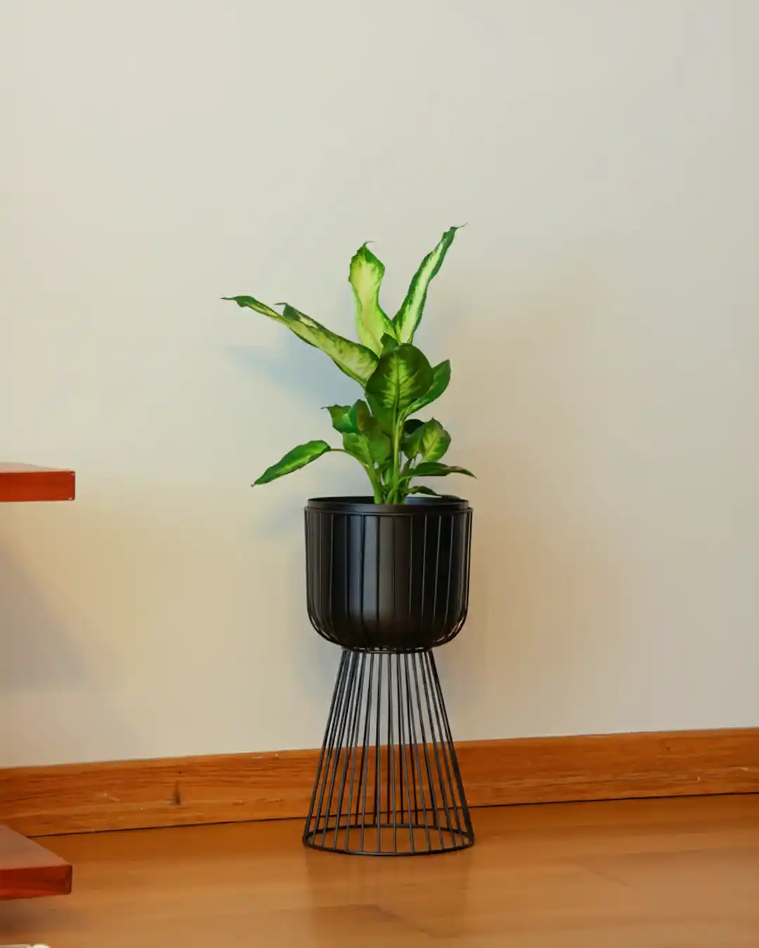 Gloria Siyah Metal Ayaklı Saksı Siyah