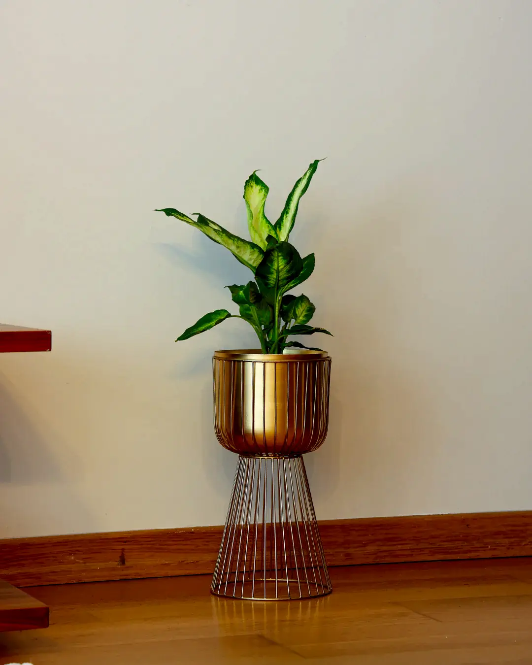 Invictus Gold Metal Ayaklı Saksı