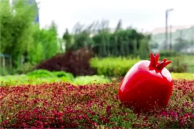 Dekoratif Nar Kırmızı