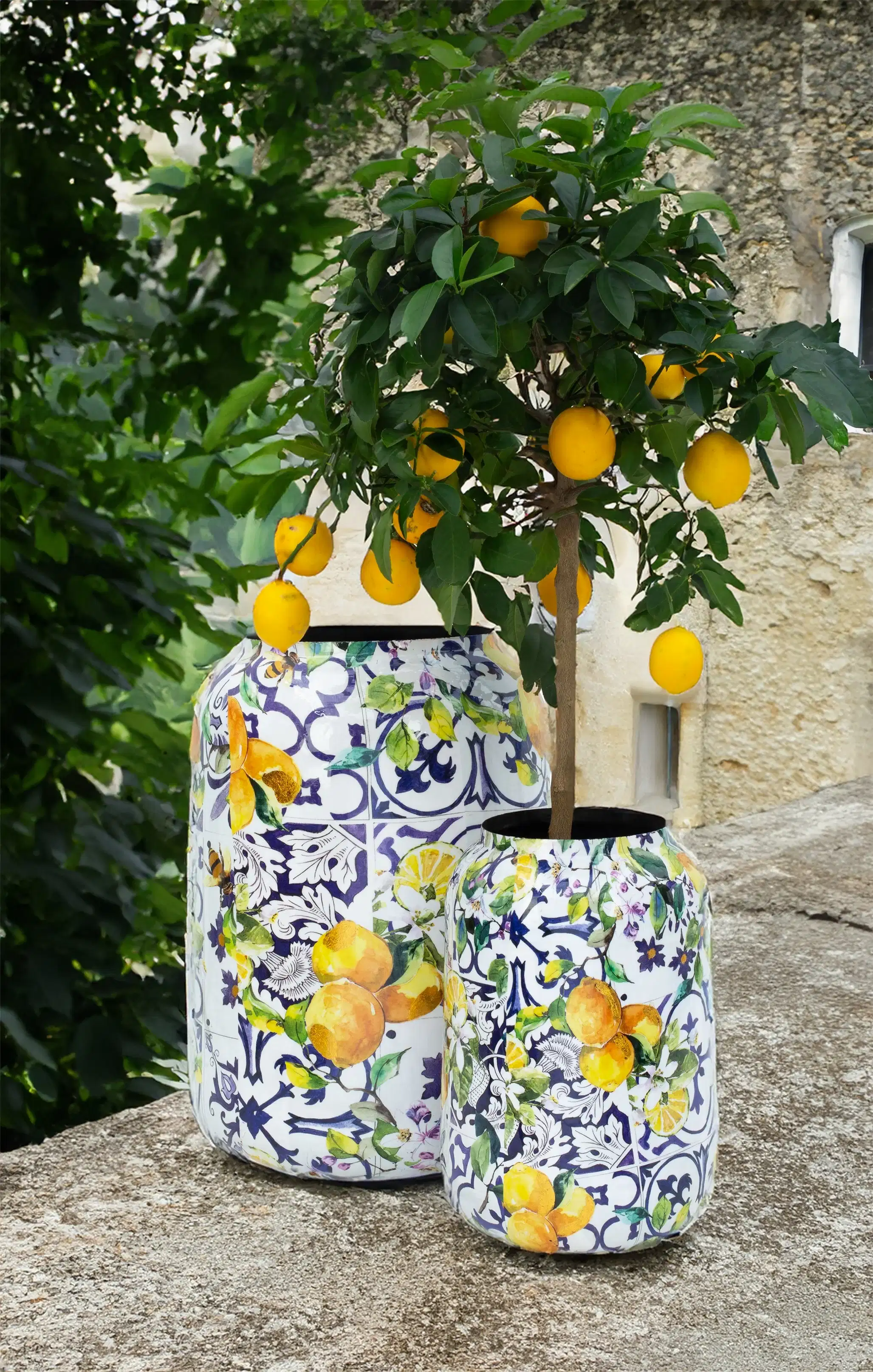 Lemon Fusion L Saksı