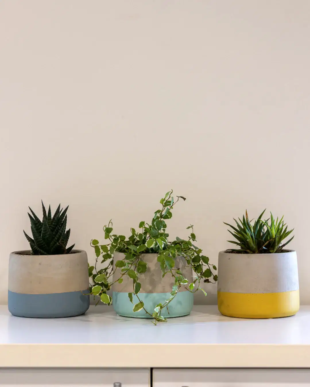 Lenus Beton Saksı 3'lü Set