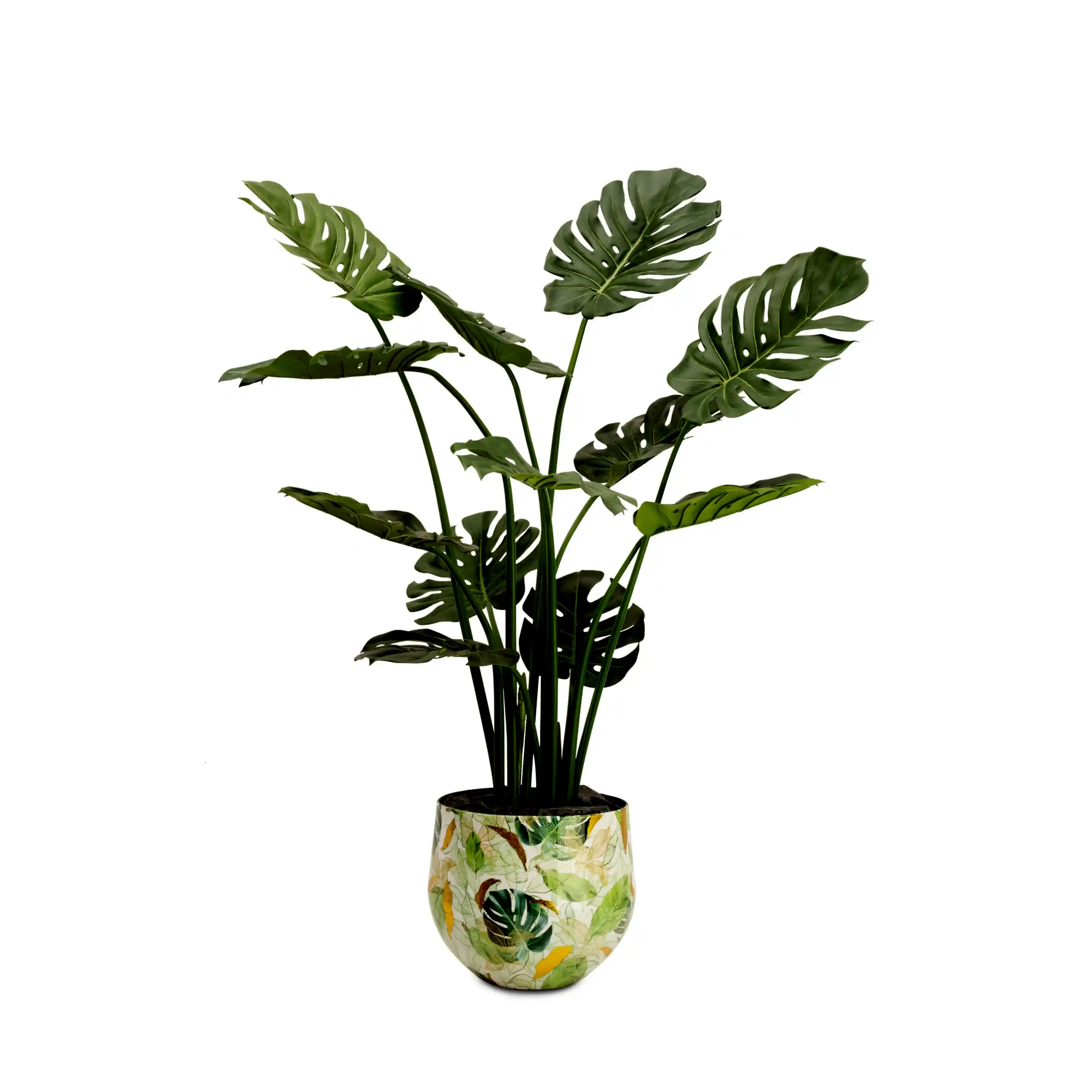 Lush Botanic M Saksı