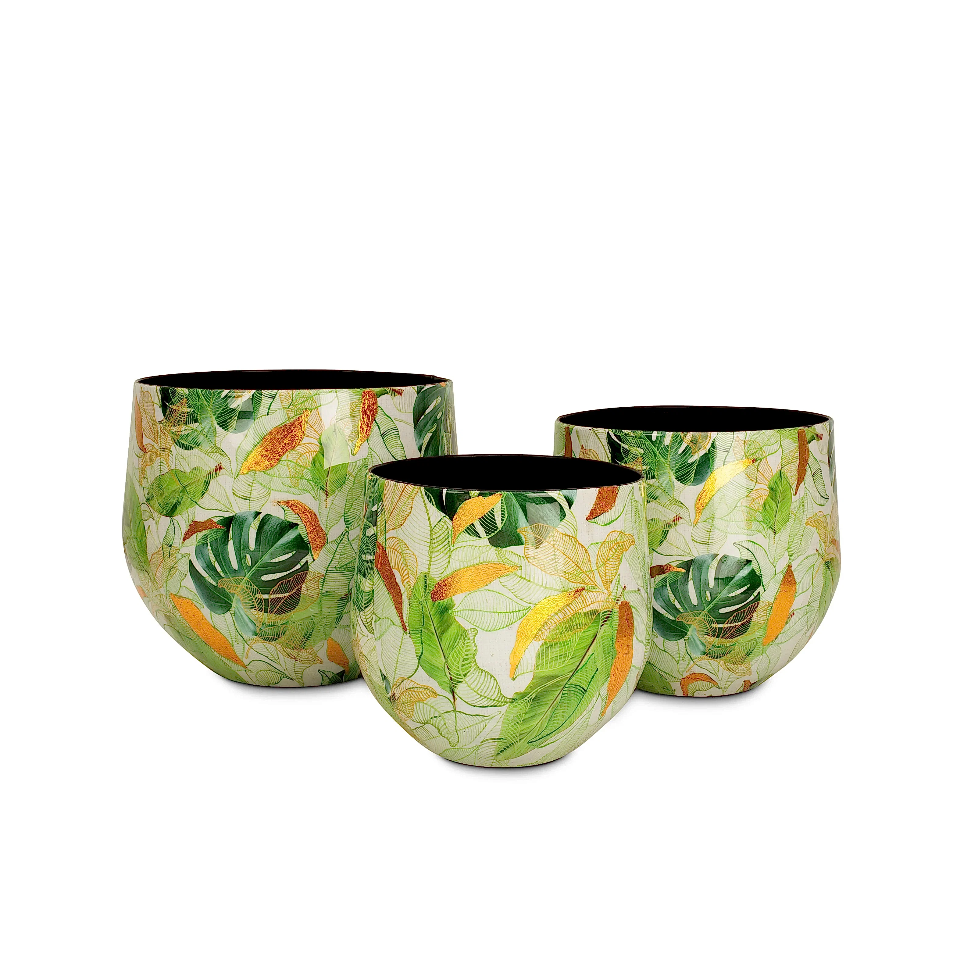 Lush Botanic S Saksı