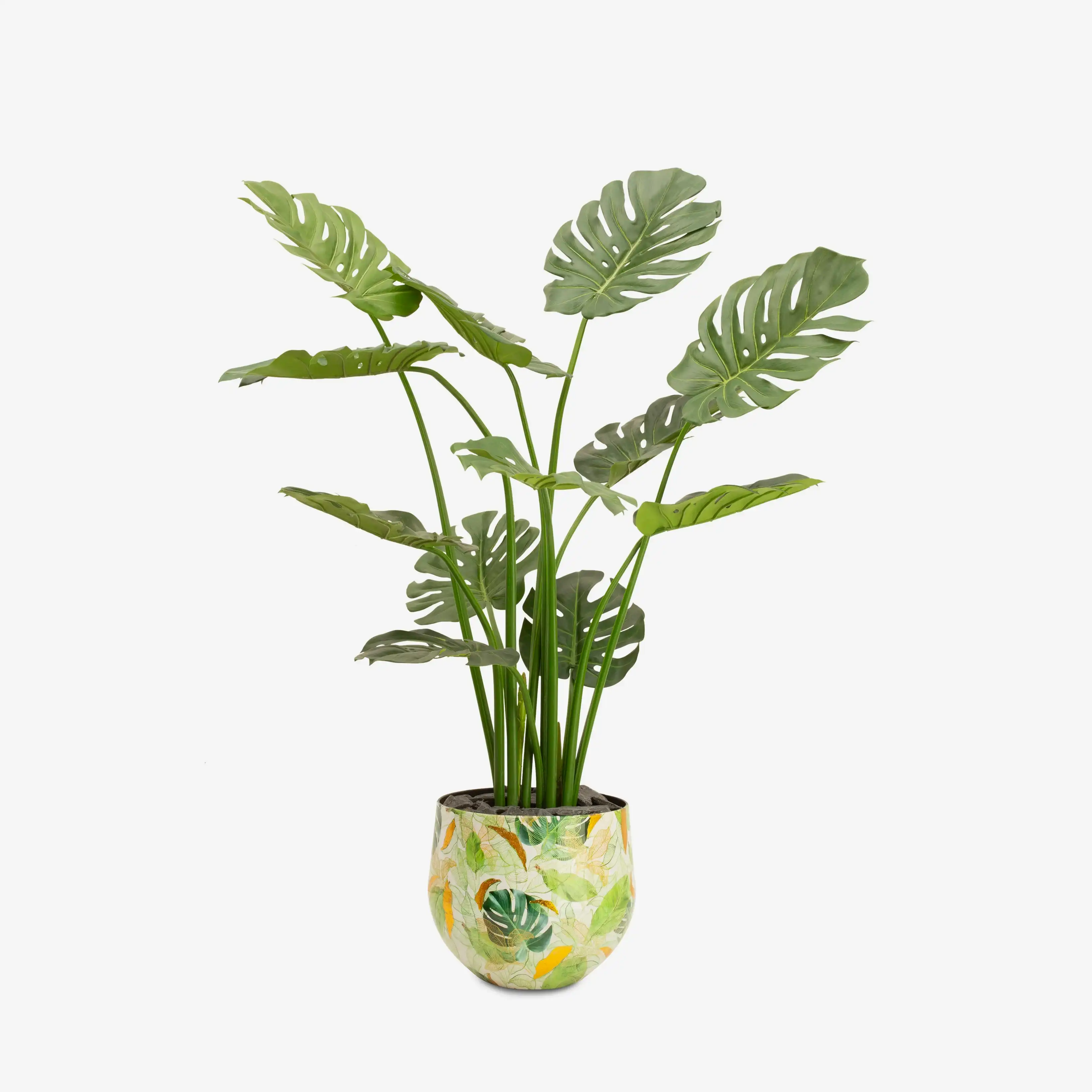 Lush Botanic XS Saksı