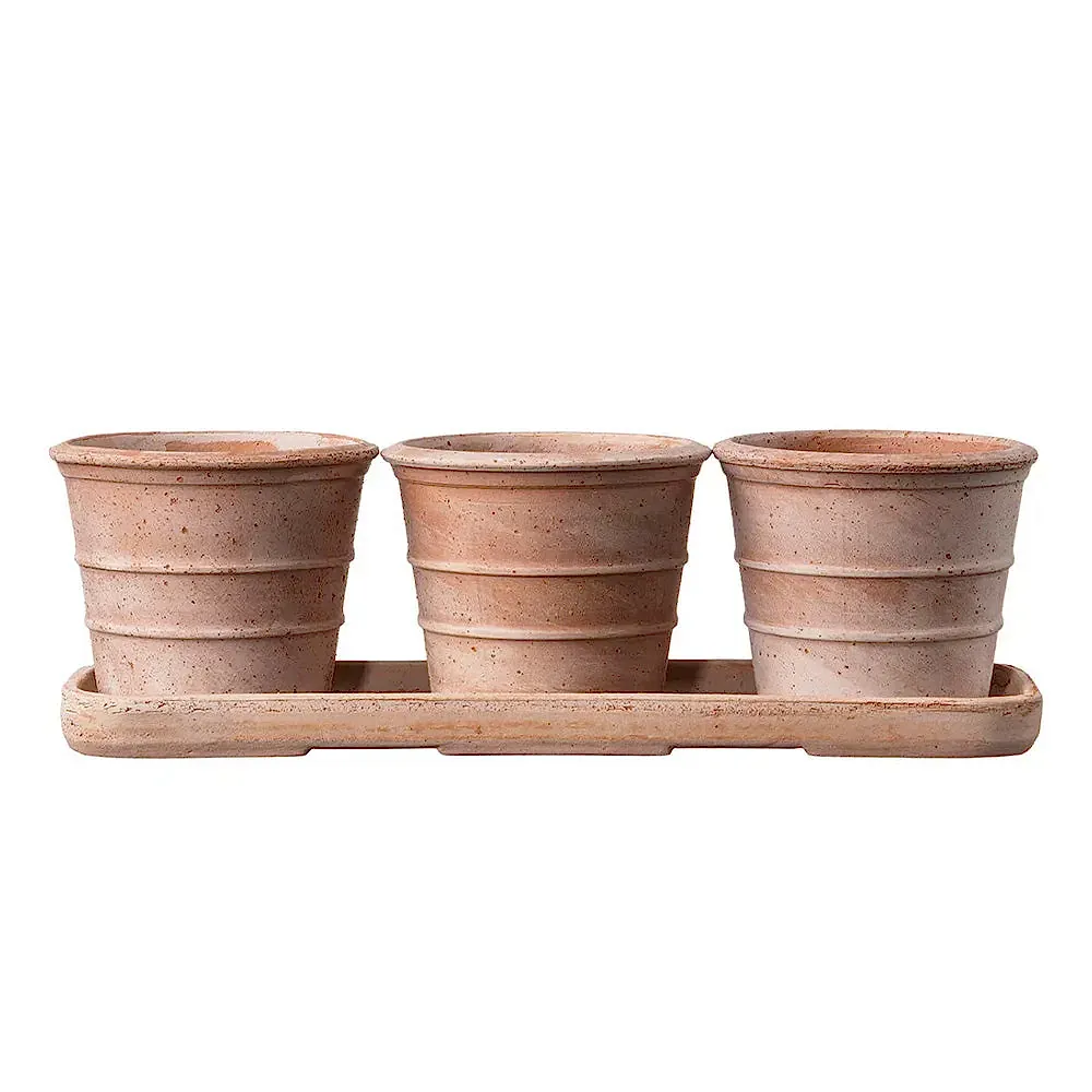 Mini Siena Toprak Saksı Seti Terracota