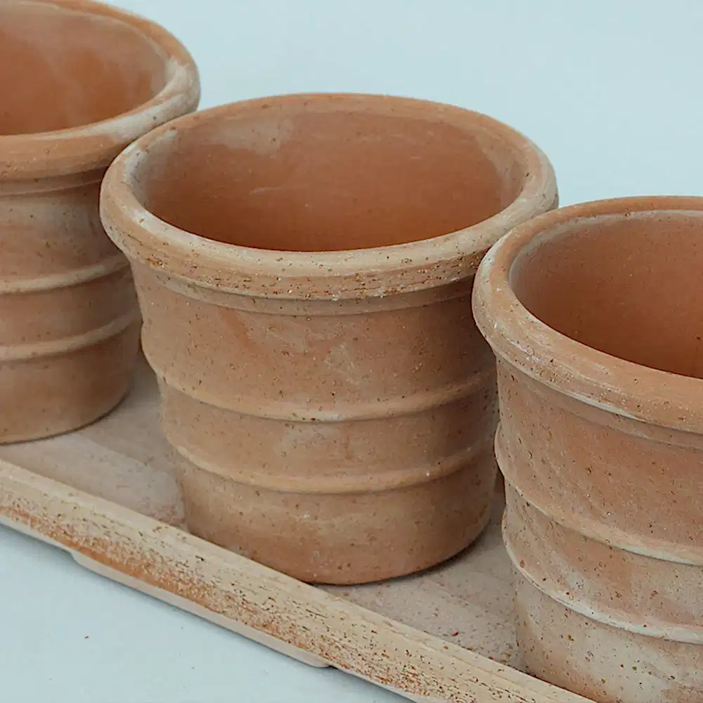 Mini Siena Toprak Saksı Seti Terracota