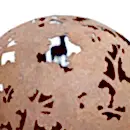 Molle Ateş Çukuru Lazer Kesim Corten