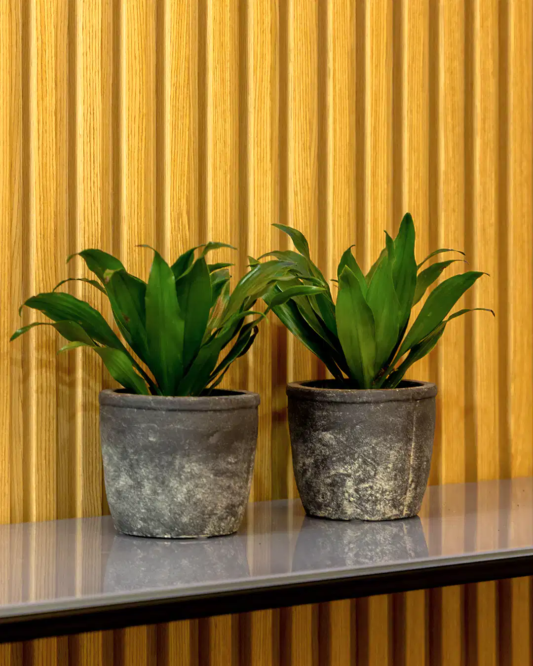 Olven Saksı Antrasit 2'li Set