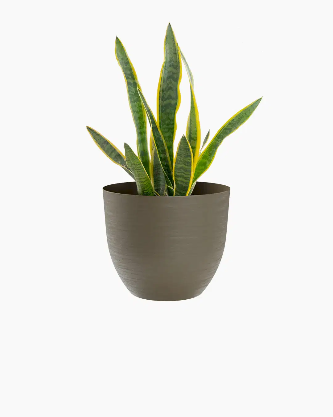 Over 38 Bej Plastik&nbsp;Akıllı&nbsp;Saksı