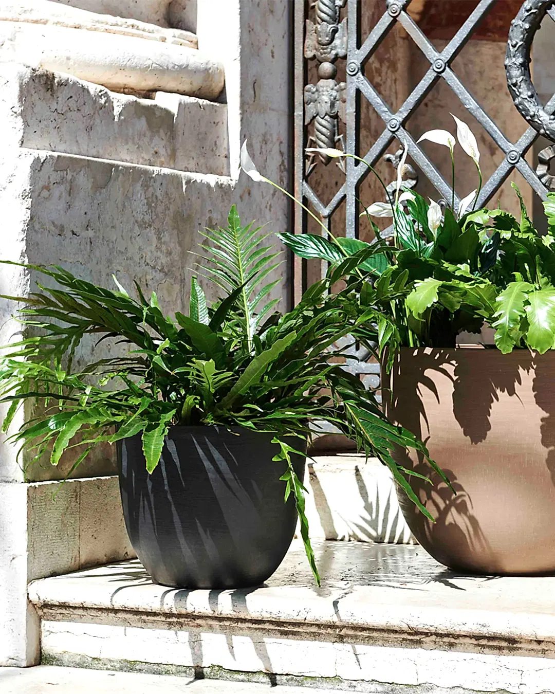 Over 38 Siyah Plastik&nbsp;Akıllı&nbsp;Saksı