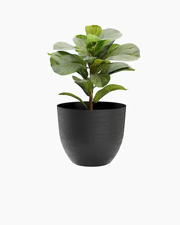 Over 38 Siyah Plastik&nbsp;Akıllı&nbsp;Saksı