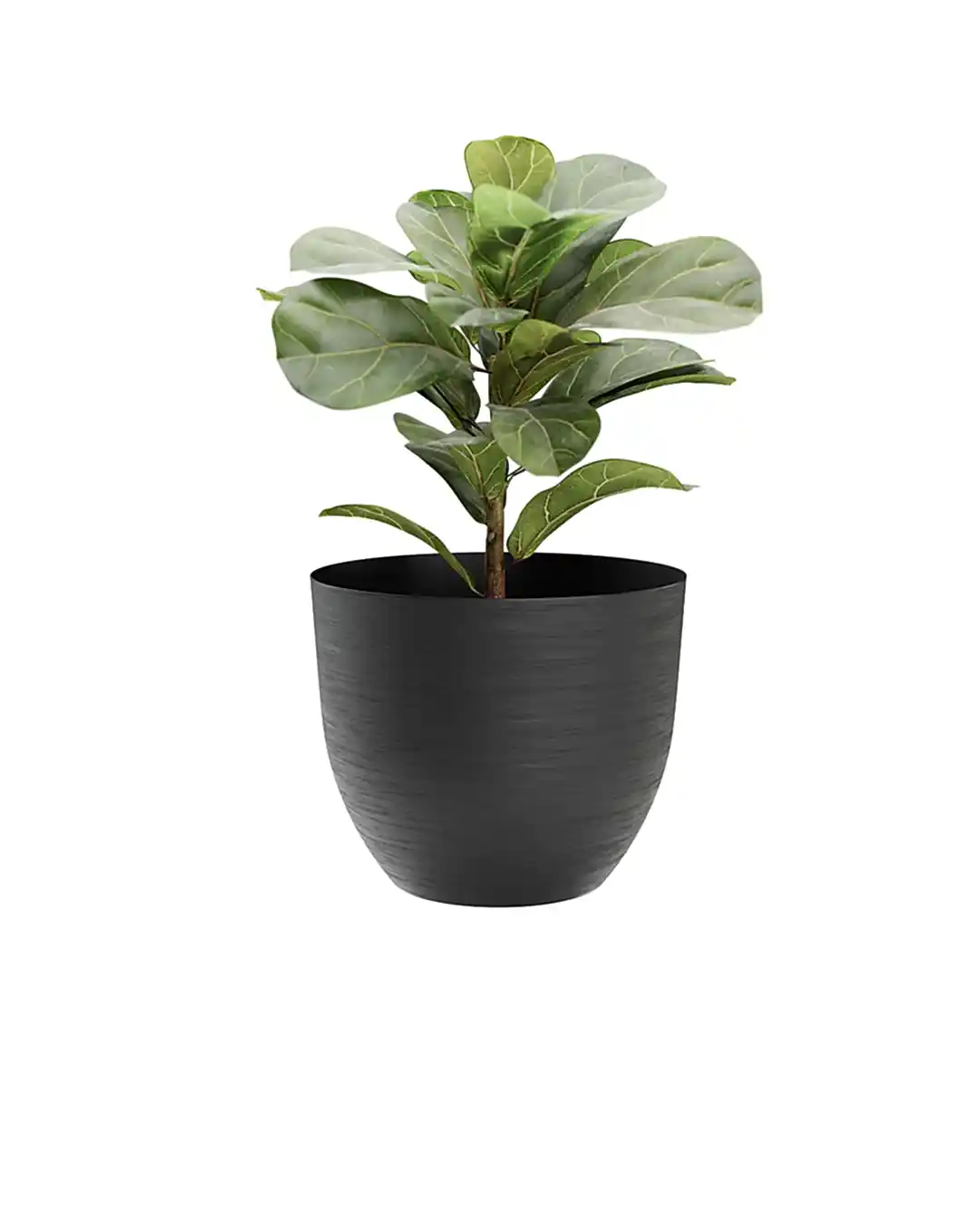 Over 38 Siyah Plastik&nbsp;Akıllı&nbsp;Saksı