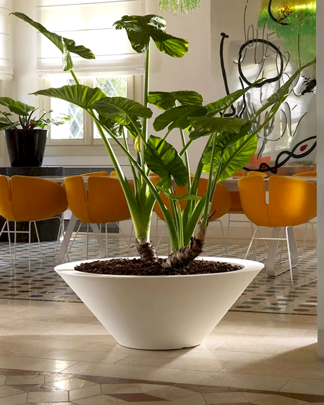 Schio Ciotala 60 Plastik Saksı Terakota