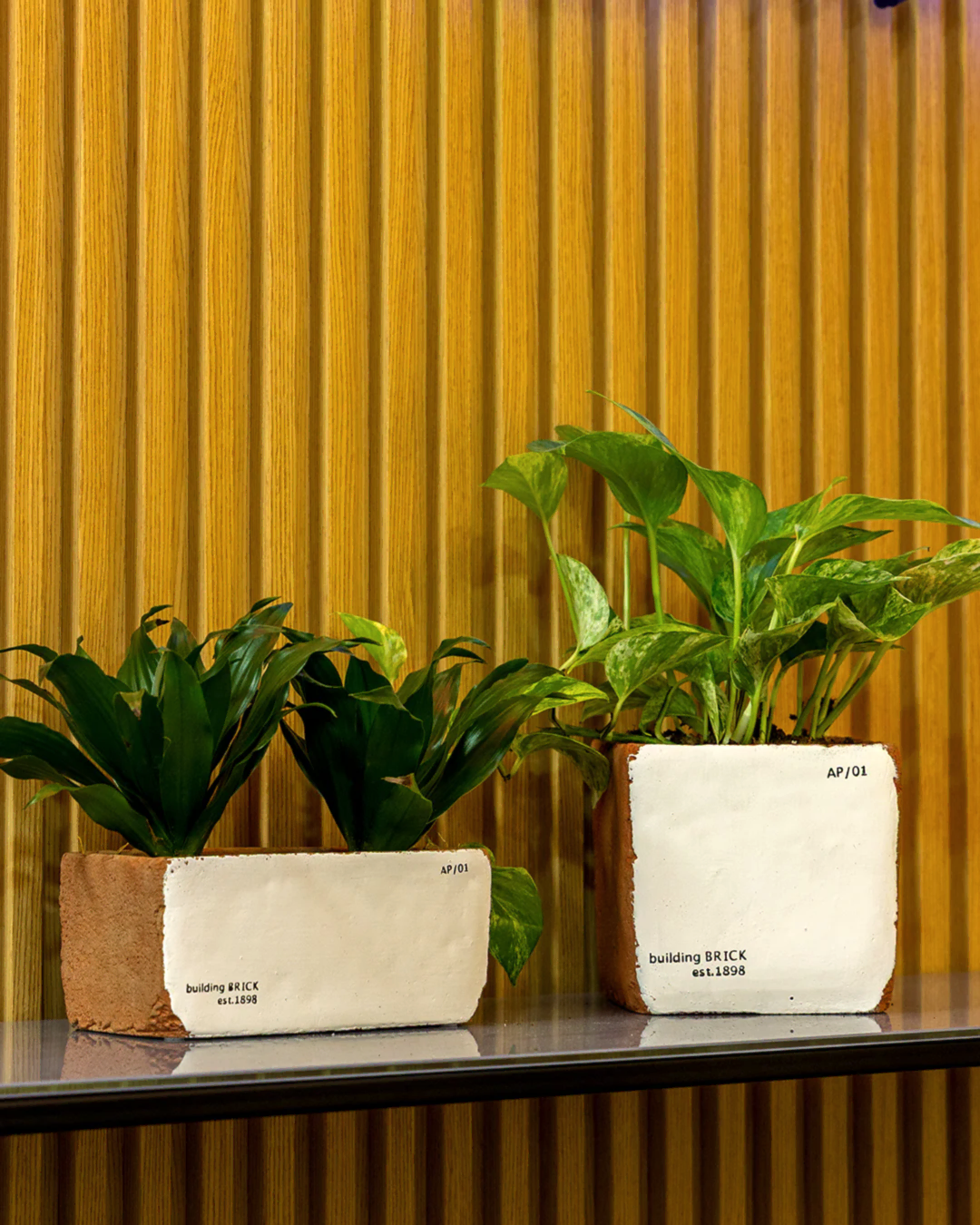 Sirona Saksı 3'lü Set