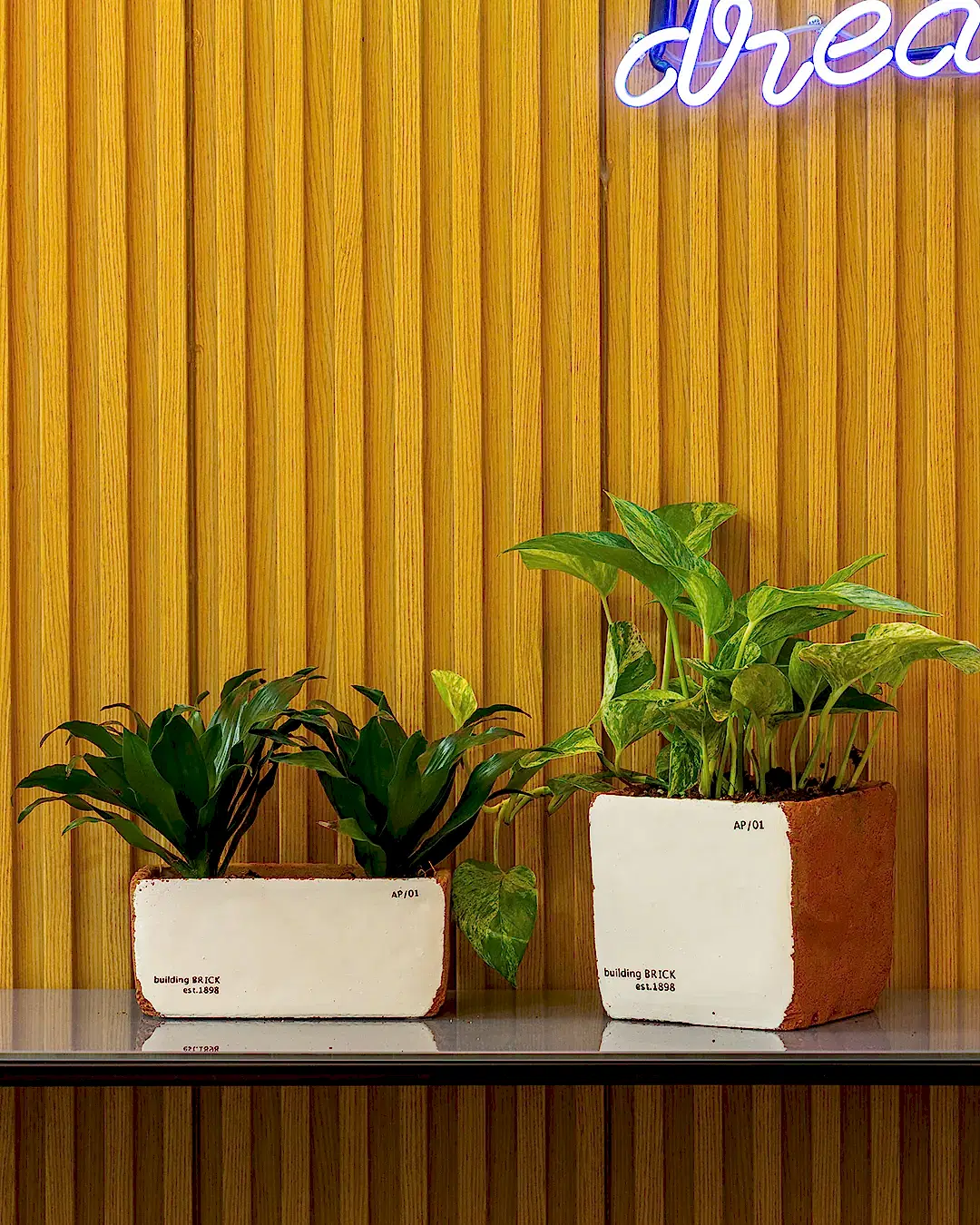 Sirona Saksı 3'lü Set