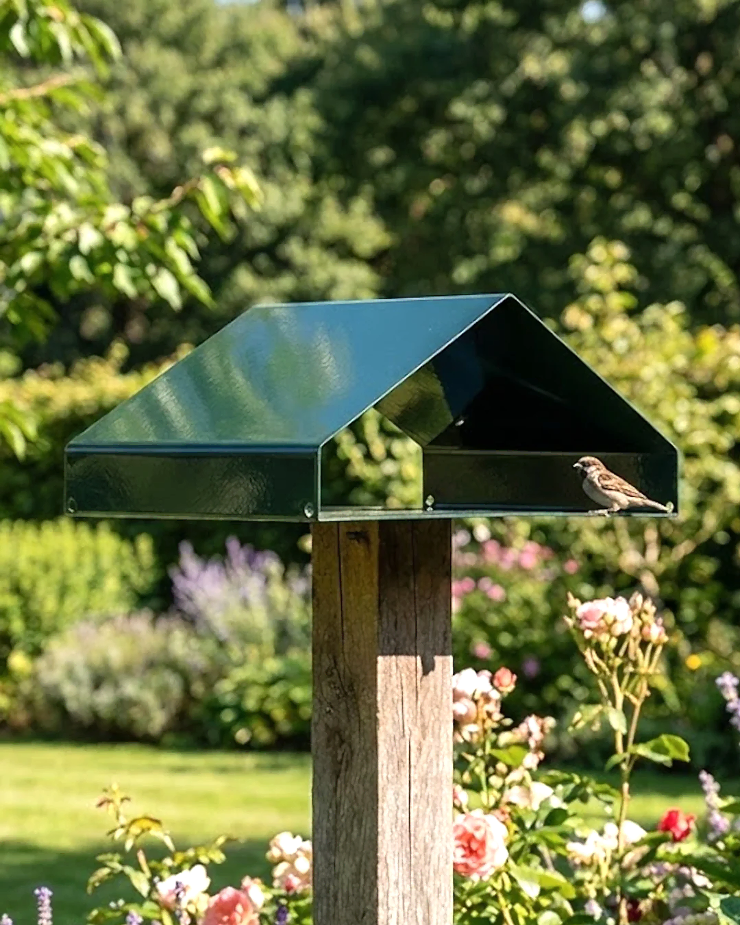 Sky Metal Kuş Yuvası