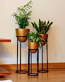 Summus Metal Ayaklı Saksı Büyük Boy Bronz