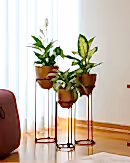 Summus Metal Ayaklı Saksı Büyük Boy Bronz