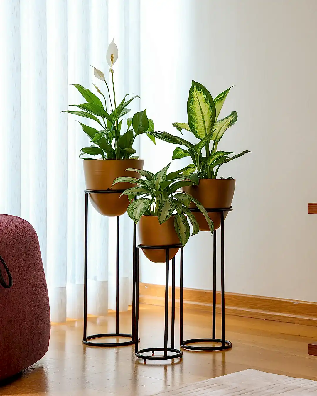 Summus Metal Ayaklı Saksı Büyük Boy Bronz