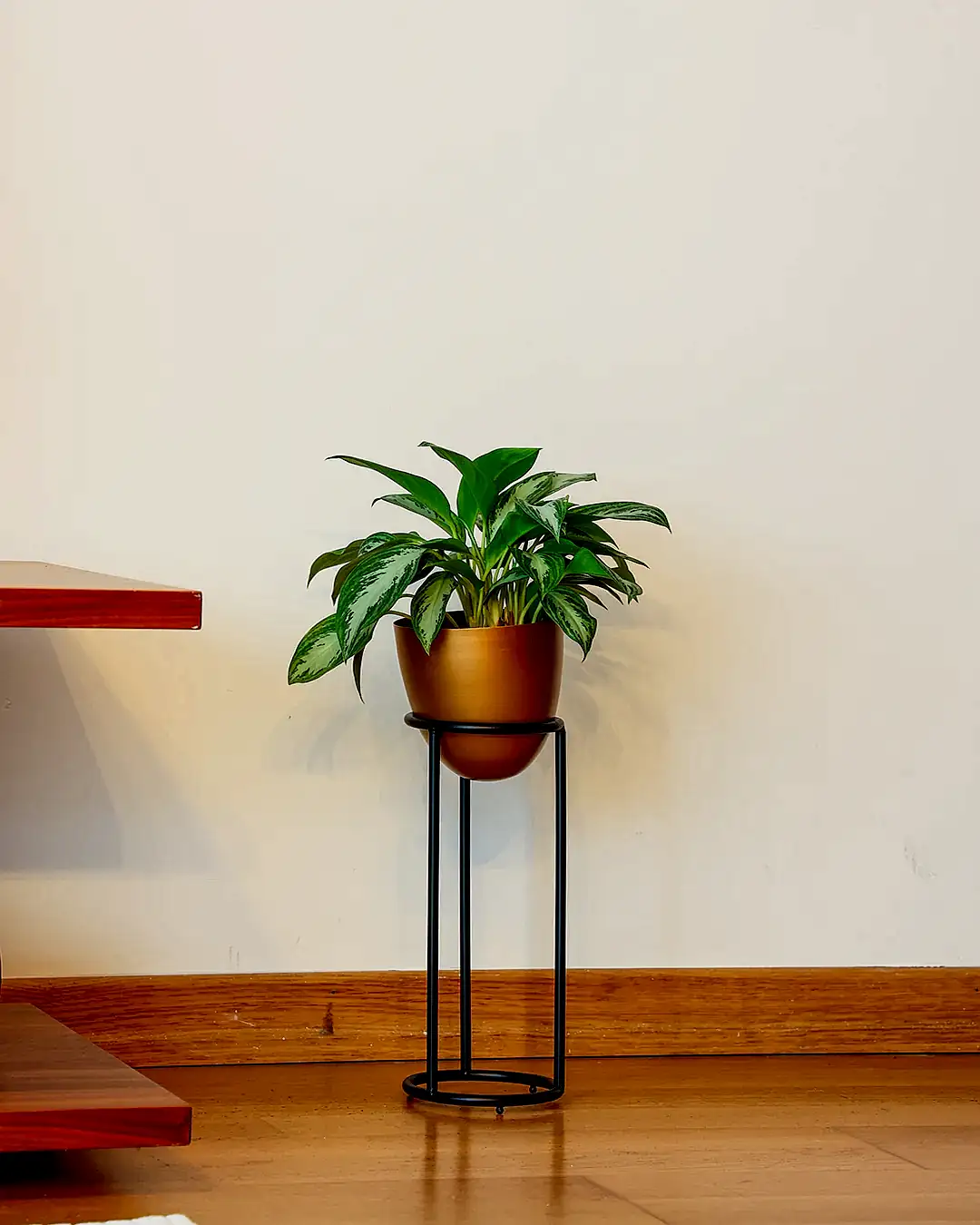 Summus Metal Ayaklı Saksı Küçük Boy Bronz