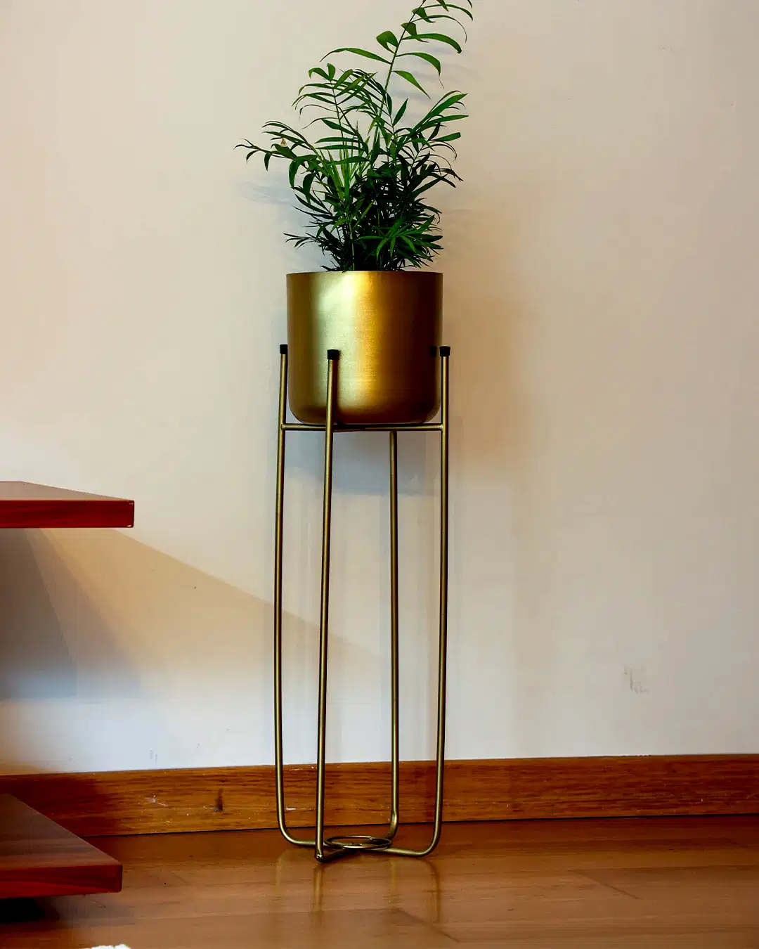 Superbia Metal Ayaklı Saksı Büyük Boy Sarı