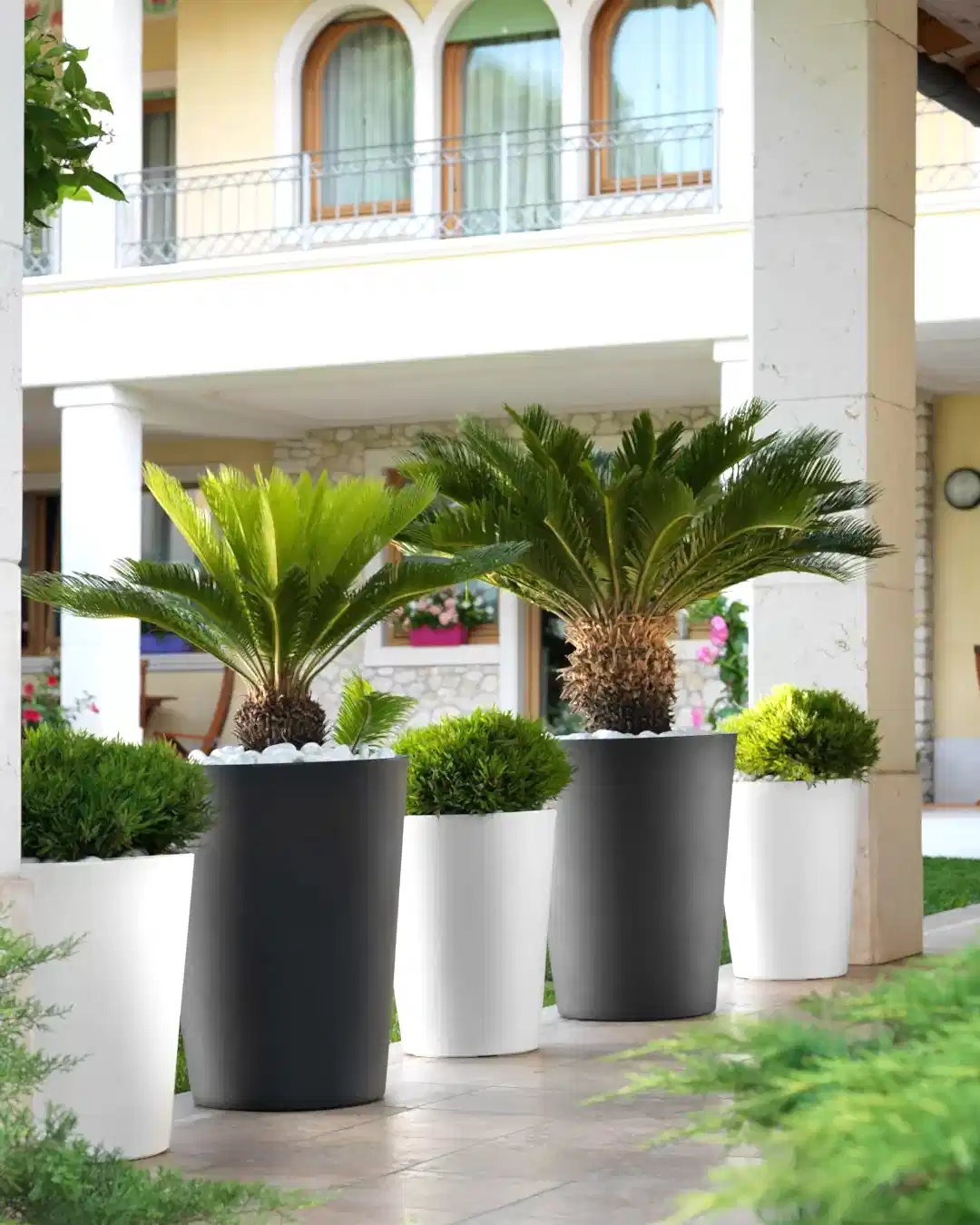 Zamora 65 Plastik Saksı Antrasit